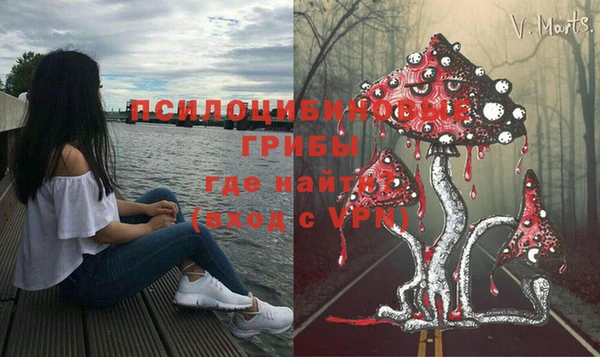 стаф Иннополис