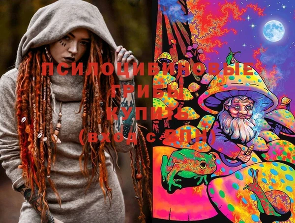 стаф Иннополис