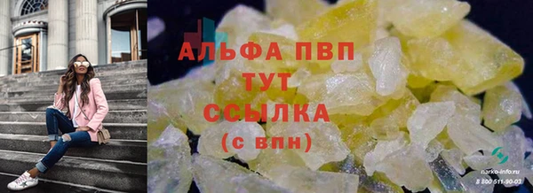 a pvp Инта