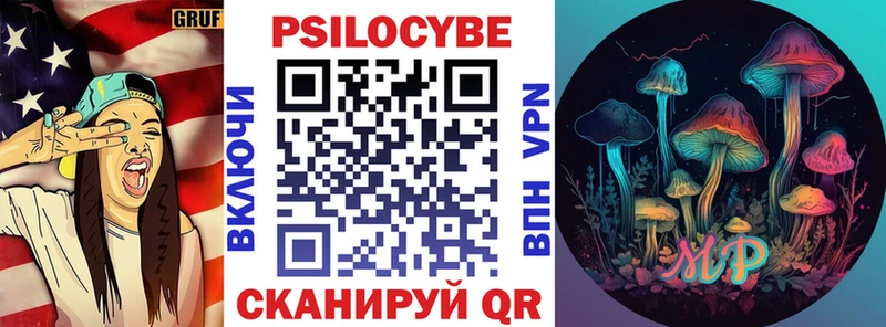 цена наркотик  Сибай  Галлюциногенные грибы Psilocybe 