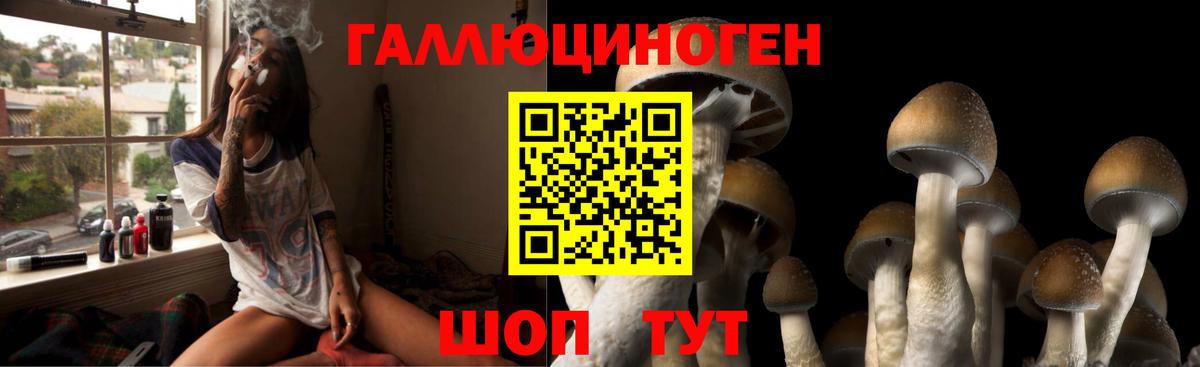 Сибай  купить наркотики цена  Вход с VPN  Псилоцибиновые грибы GOLDEN TEACHER  Галлюциногенные грибы Magic Shrooms 